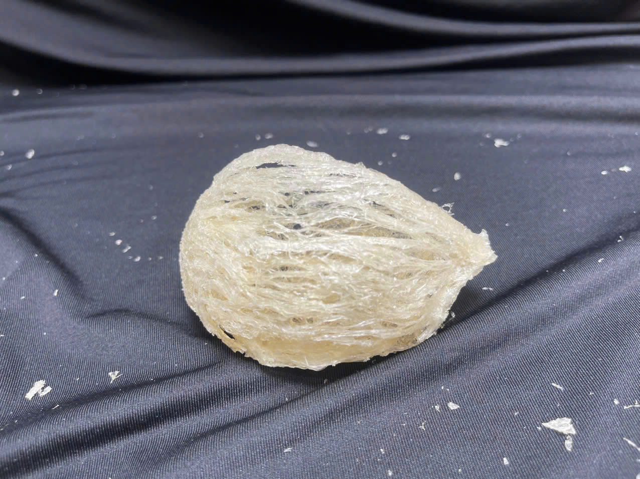 Yến rút lông đắp tổ